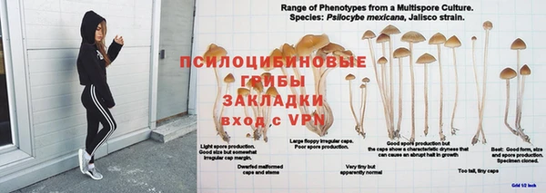 соль ск Строитель