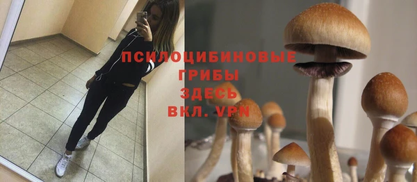 кокаин колумбия Невель
