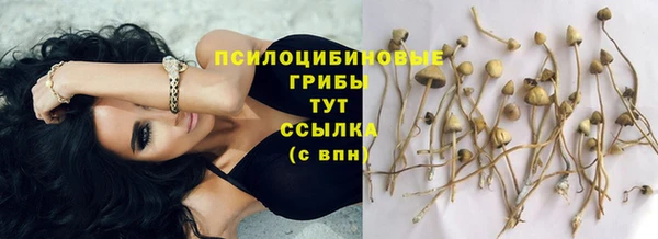 крисы Невельск