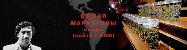 крисы Невельск