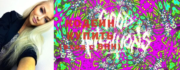 крисы Невельск