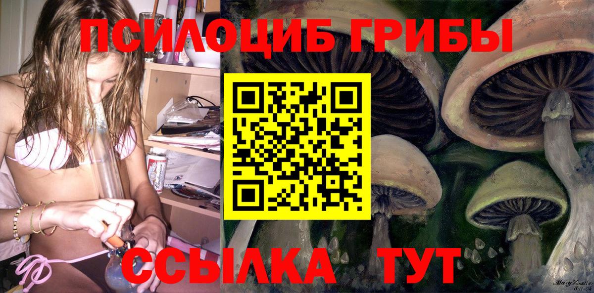 Псилоцибиновые грибы MAGIC MUSHROOMS Ставрополь