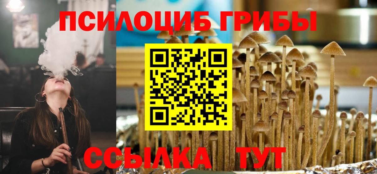 Галлюциногенные грибы GOLDEN TEACHER  Ставрополь  Галлюциногенные грибы мицелий 