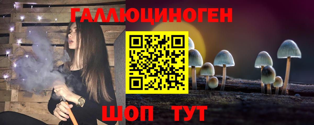 Галлюциногенные грибы Psilocybine cubensis Ставрополь