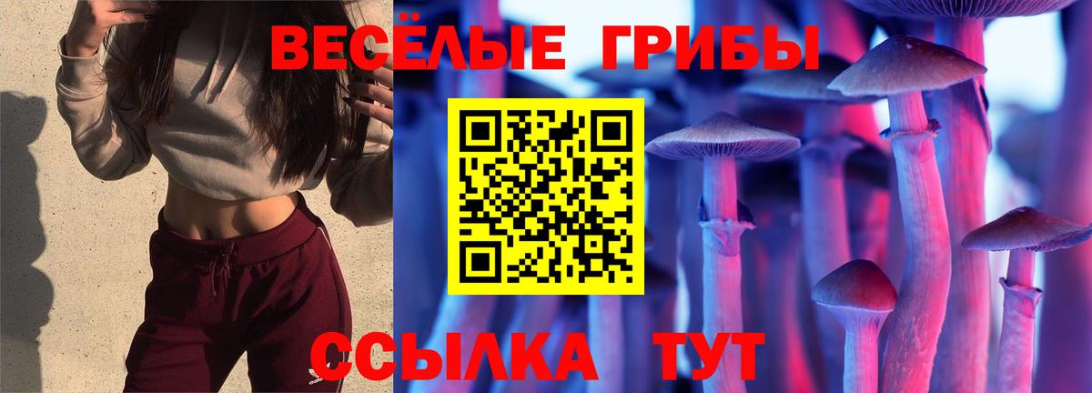 Псилоцибиновые грибы GOLDEN TEACHER  Вход с VPN  наркота  Ставрополь 