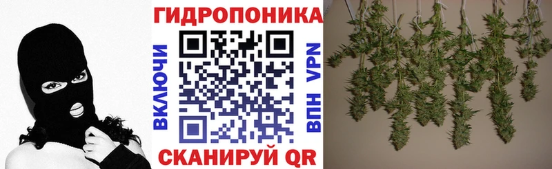 Бошки Шишки марихуана  mega ссылки  Ставрополь 